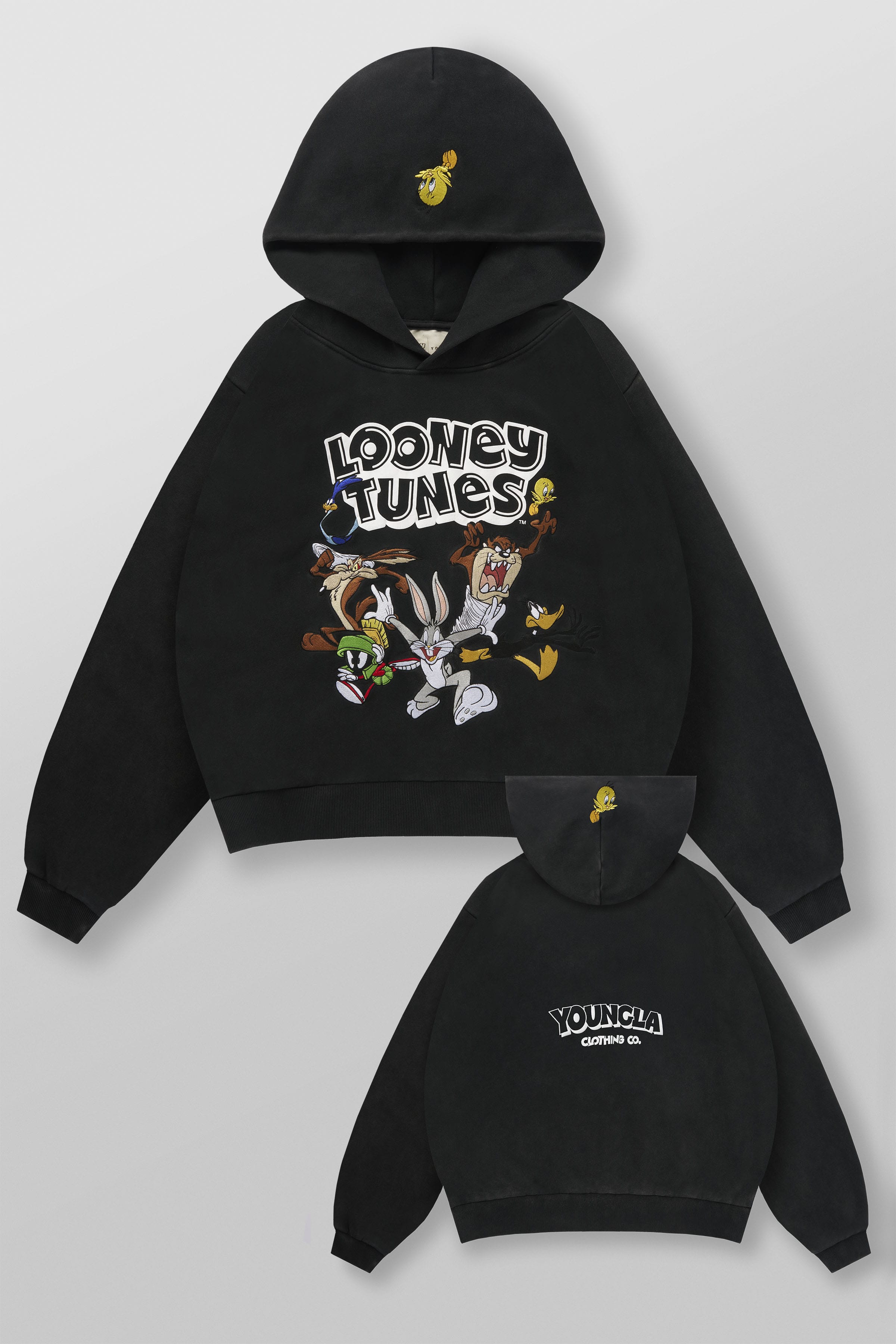 5114 - Looney Tunes Embroidered Hoodies - The Crew
