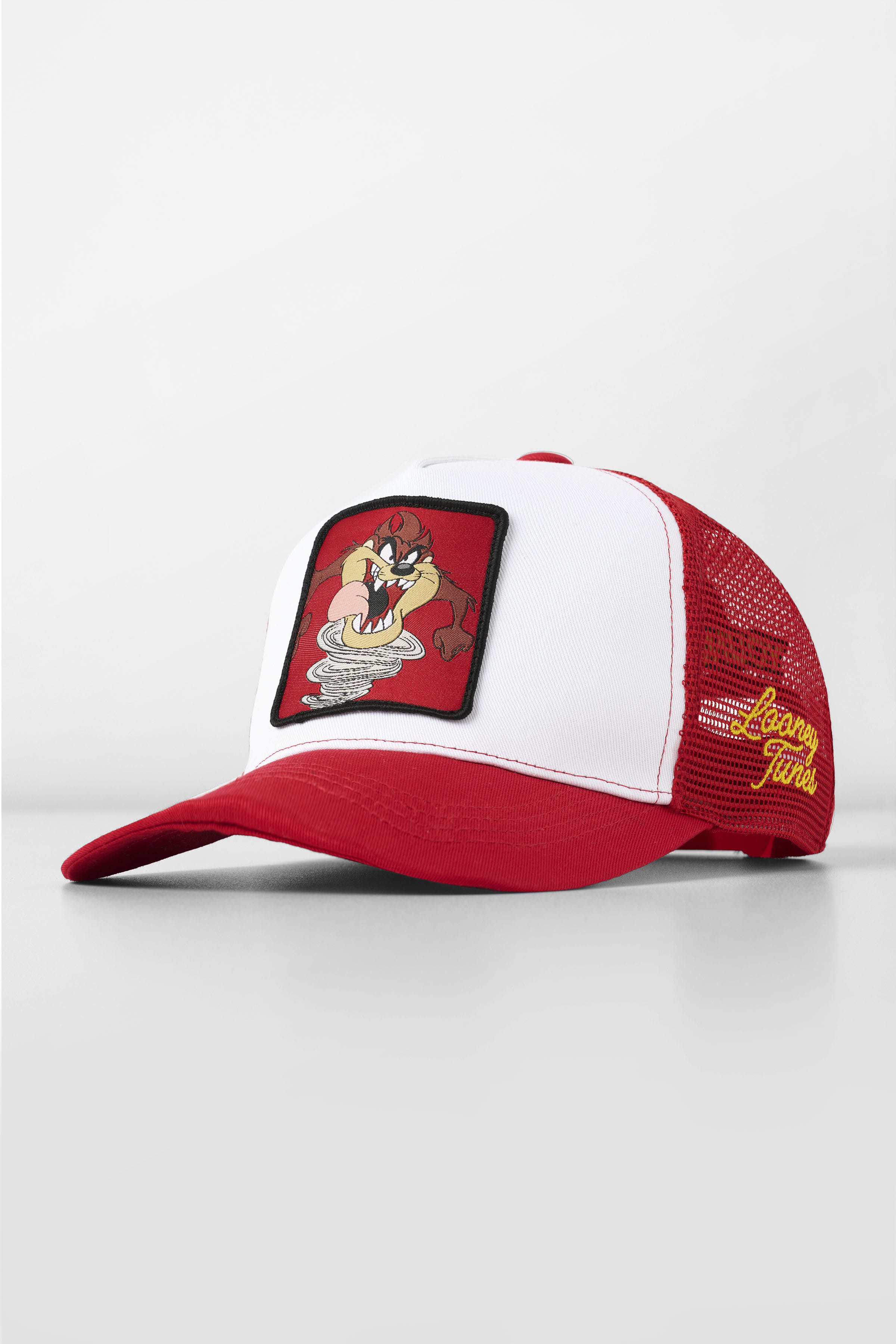 9135 - Looney Tunes Patch Trucker Hats - Taz H