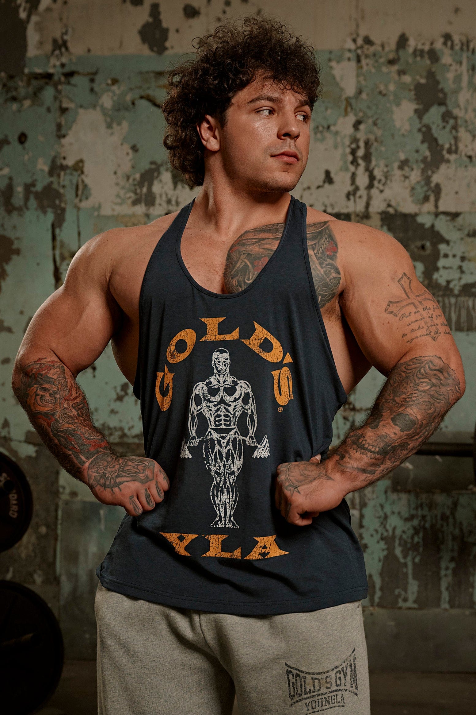 3003 - Gold's Iron Legacy Icon Stringers - Navy